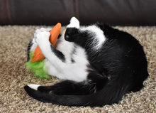 Load image into Gallery viewer, Cosmic Catnip Cat Carrot Toy 100% Cosmic
