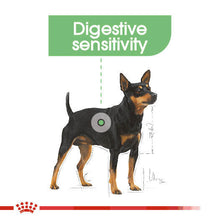 Load image into Gallery viewer, ROYAL CANIN® Digestive Care Wet Pouches Adult Dog Food