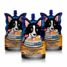 Load image into Gallery viewer, DoggyRade Isotonic Drink