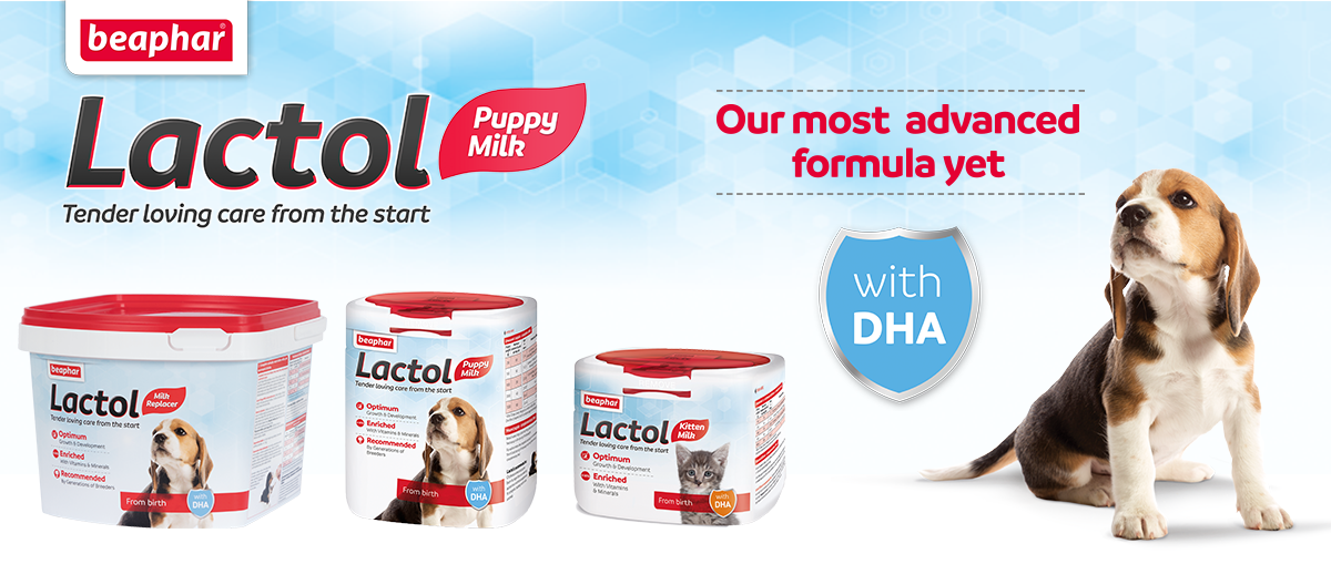 Lactol puppy milk sales asda