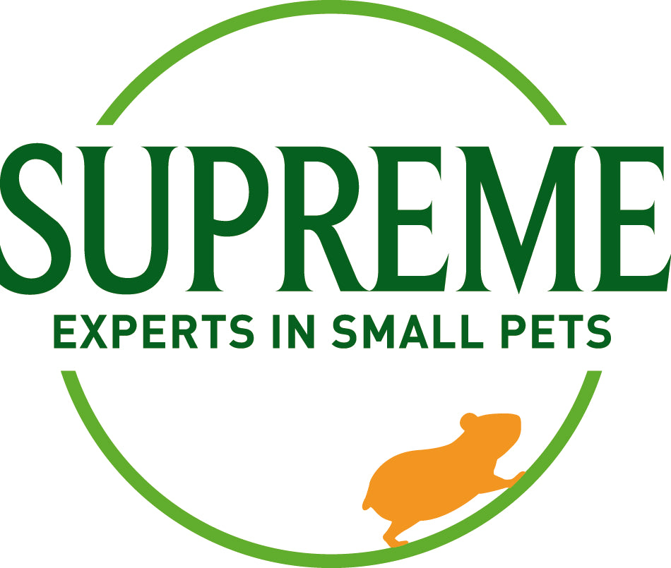 Supreme selective hotsell guinea pig