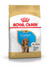 Load image into Gallery viewer, ROYAL CANIN Cocker Puppy Dry Dog Food