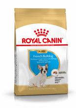 Load image into Gallery viewer, ROYAL CANIN® French Bulldog Puppy Dry Food