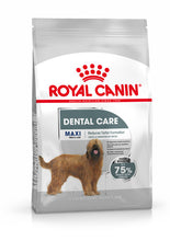 Load image into Gallery viewer, ROYAL CANIN® Maxi Dental Care Adult Dry Dog Food