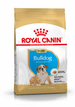 Load image into Gallery viewer, ROYAL CANIN® Bulldog Puppy Dry Food