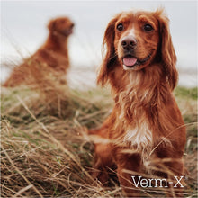 Load image into Gallery viewer, Verm X Liquid For Dogs 250ml