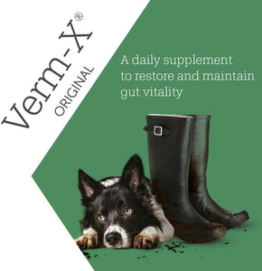 Verm X Treats For Dogs Restores and Maintains Gut Vitality 100g