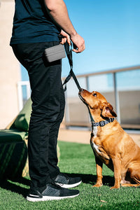 Dexas Dog Pouch Flexible Treat Training Clip Pouch, Light Gray