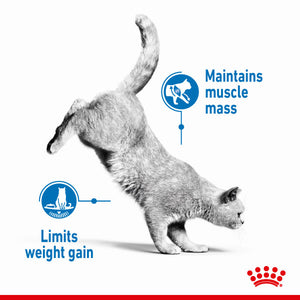 ROYAL CANIN® Light Weight Care Adult Wet Cat Food