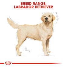 Load image into Gallery viewer, ROYAL CANIN® Labrador Retriever Adult Dry Dog Food