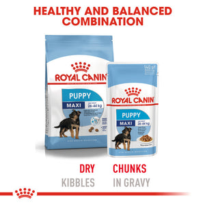 ROYAL CANIN® Maxi Puppy in Gravy Wet Food