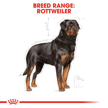 Load image into Gallery viewer, ROYAL CANIN® Rottweiler Adult Dry Dog Food