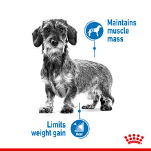 Load image into Gallery viewer, ROYAL CANIN® Light Weight Care Wet Pouches Adult Dog Food