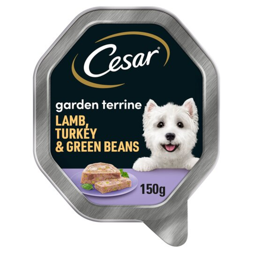 Cesar Alutray CIL Turkey and Lamb Green Beans 14 x 150g