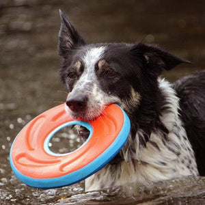 Chuckit! Zipflight Dog Frisbee