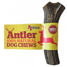 Load image into Gallery viewer, Antos Antler Dog Chew - Available In 3 Sizes - 100% Natural All Shapes May Vary (Large 151 - 220G)