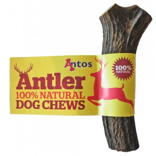 Antos Antler Dog Chew - Available In 3 Sizes - 100% Natural All Shapes May Vary (Large 151 - 220G)