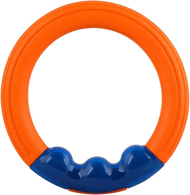 Astrodog Ring Interactive Orbit