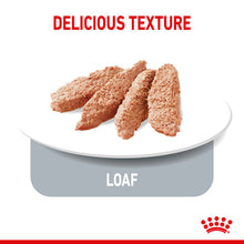 Load image into Gallery viewer, ROYAL CANIN® Light Weight Care Wet Pouches Adult Dog Food