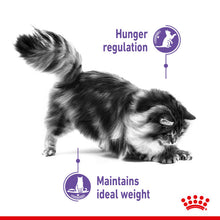 Load image into Gallery viewer, Royal Canin Appetite Control Care Adult Dry Cat Food