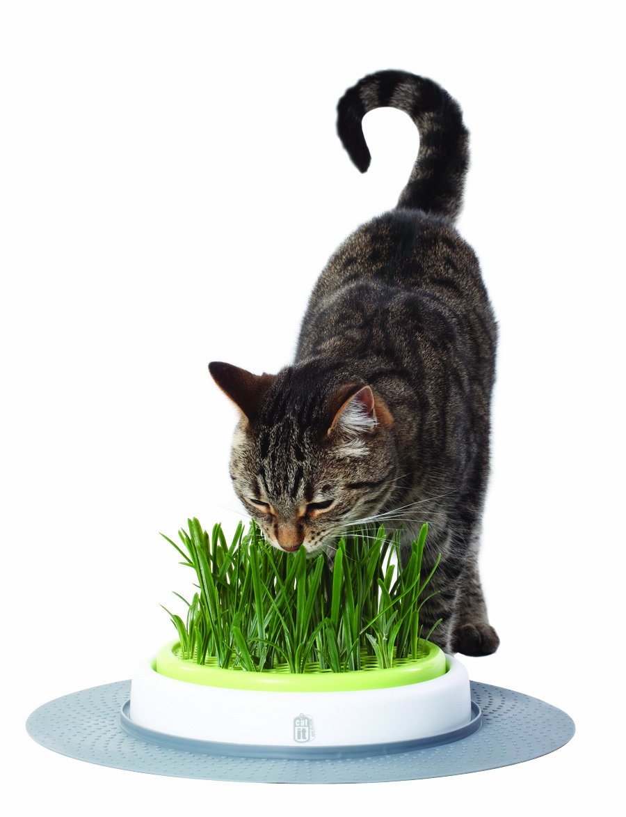 Catit Senses Grass Garden Cat Treat Toy