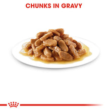 Load image into Gallery viewer, ROYAL CANIN® Maxi Puppy in Gravy Wet Food