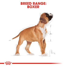 Load image into Gallery viewer, ROYAL CANIN® Boxer Adult Dry Dog Food