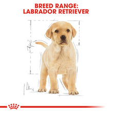 Load image into Gallery viewer, ROYAL CANIN® Labrador Retriever Puppy Dry Food