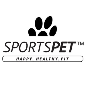 Sportspet Squeak Ball For Dogs