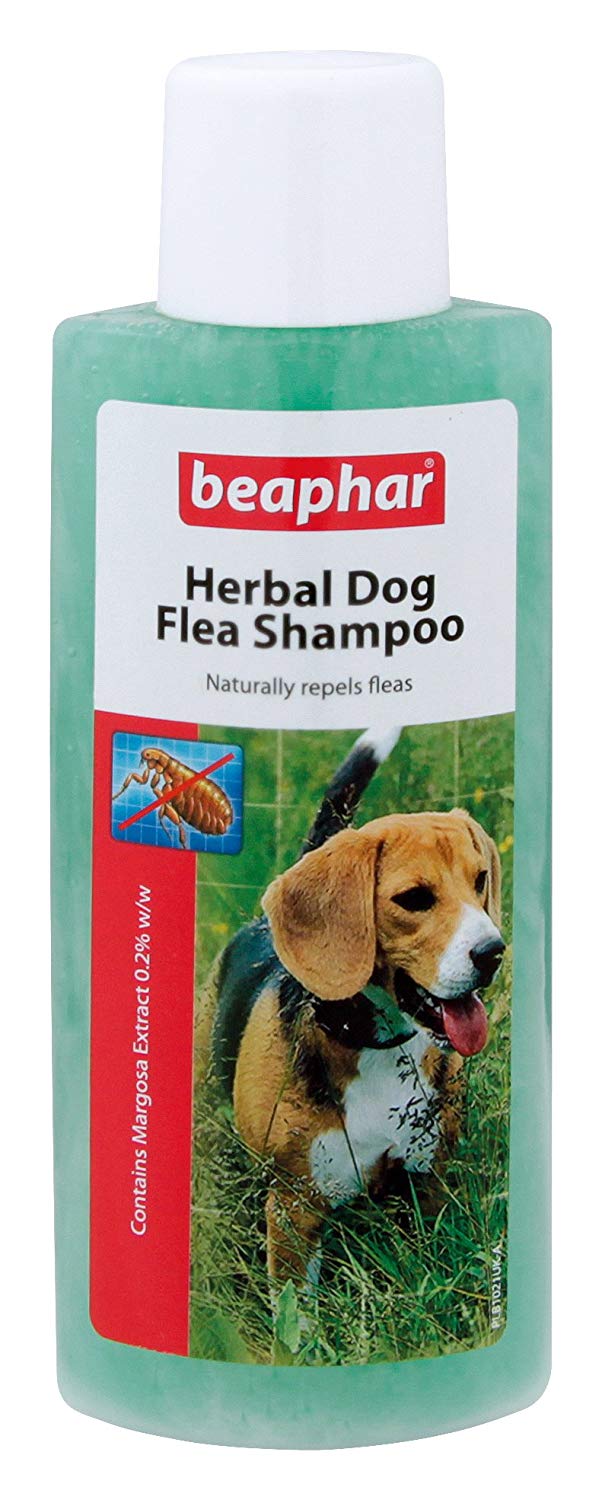 Beaphar herbal sale dog flea shampoo