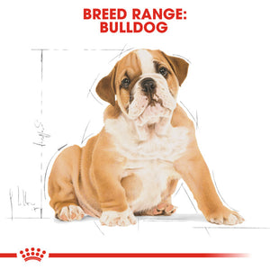 ROYAL CANIN® Bulldog Puppy Dry Food