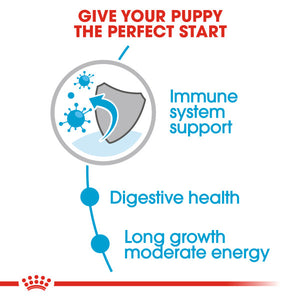 ROYAL CANIN® Maxi Puppy in Gravy Wet Food