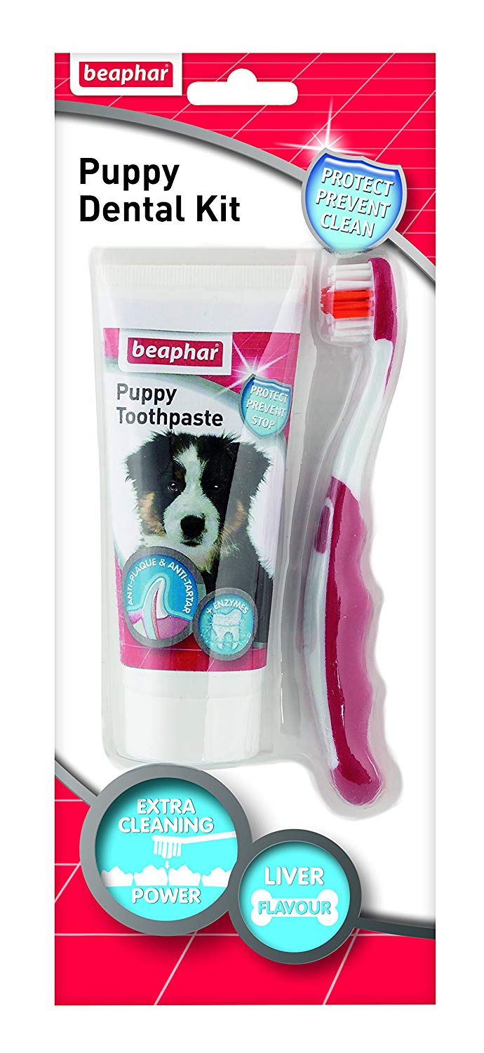 Beaphar Dog Puppy Dental Kit: Toothbrush And Toothpaste 50G