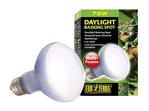 Exo Terra Daylight Basking Spot  Lamp For Terrariums, 75 Watt