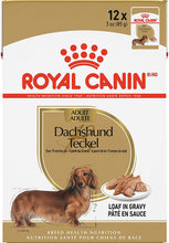 Load image into Gallery viewer, ROYAL CANIN Dachshund Adult Wet Dog Food
