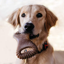 Load image into Gallery viewer, Benebone Dental Chew Dog