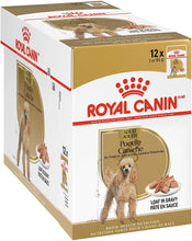 Load image into Gallery viewer, ROYAL CANIN Poodle Adult Wet Dog Food