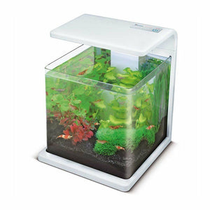 Superfish Aquarium Fish Tank