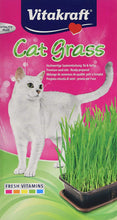 Load image into Gallery viewer, Vitakraft Cat Grass Treat Toy 200 G (Pack Of 6)
