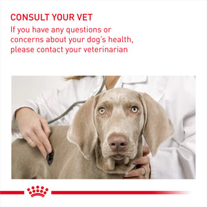 ROYAL CANIN® Maxi Dental Care Adult Dry Dog Food