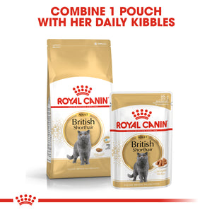 ROYAL CANIN® British Shorthair Adult Dry Cat Food