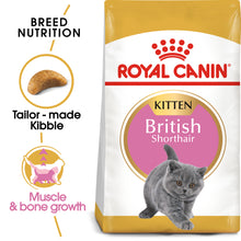 Load image into Gallery viewer, ROYAL CANIN® British Shorthair Kitten Dry Food
