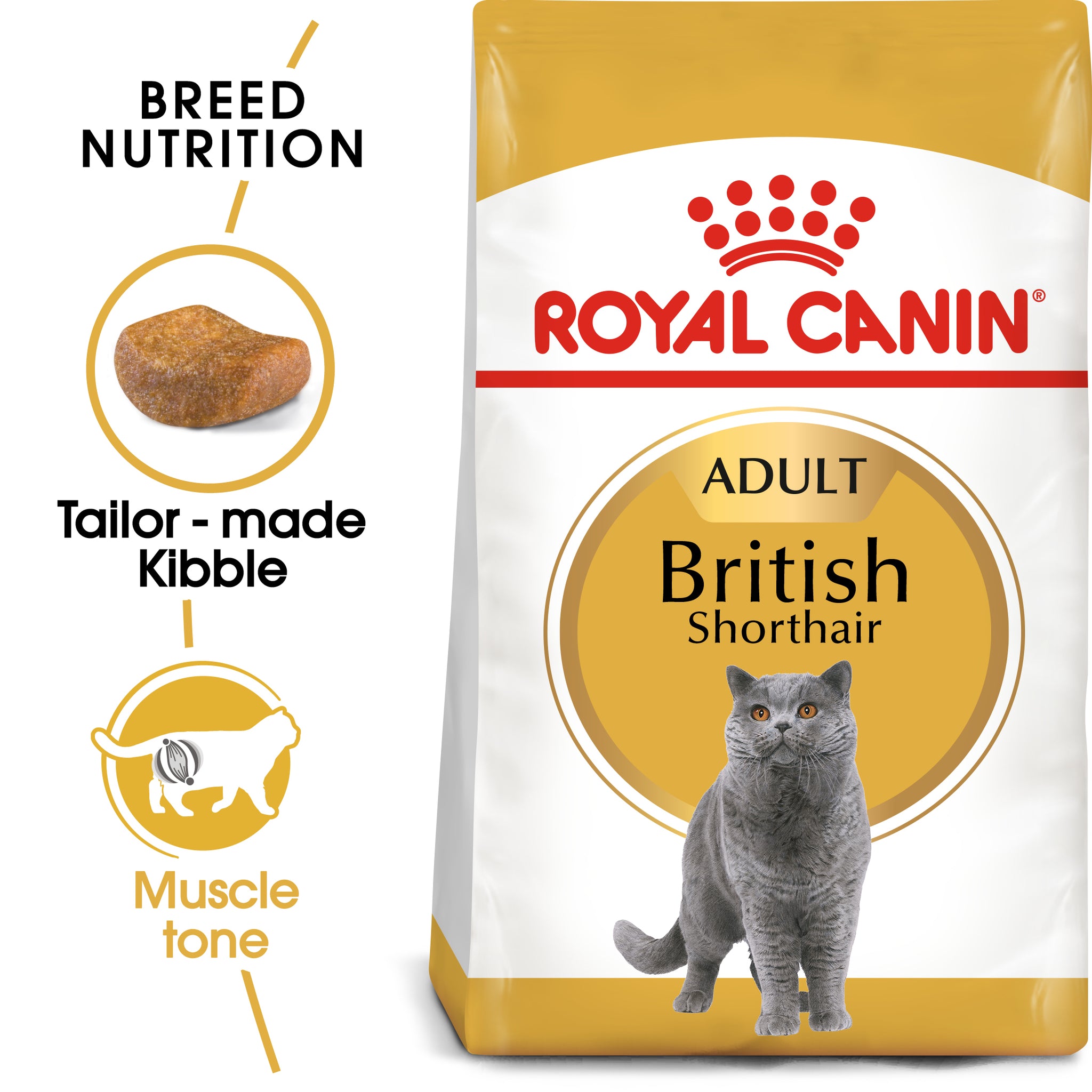 Royal canin dog discount food bichon frise