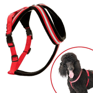 Clix Comfy Dog Harness