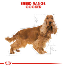 Load image into Gallery viewer, ROYAL CANIN® Cocker Adult Dry Dog Food