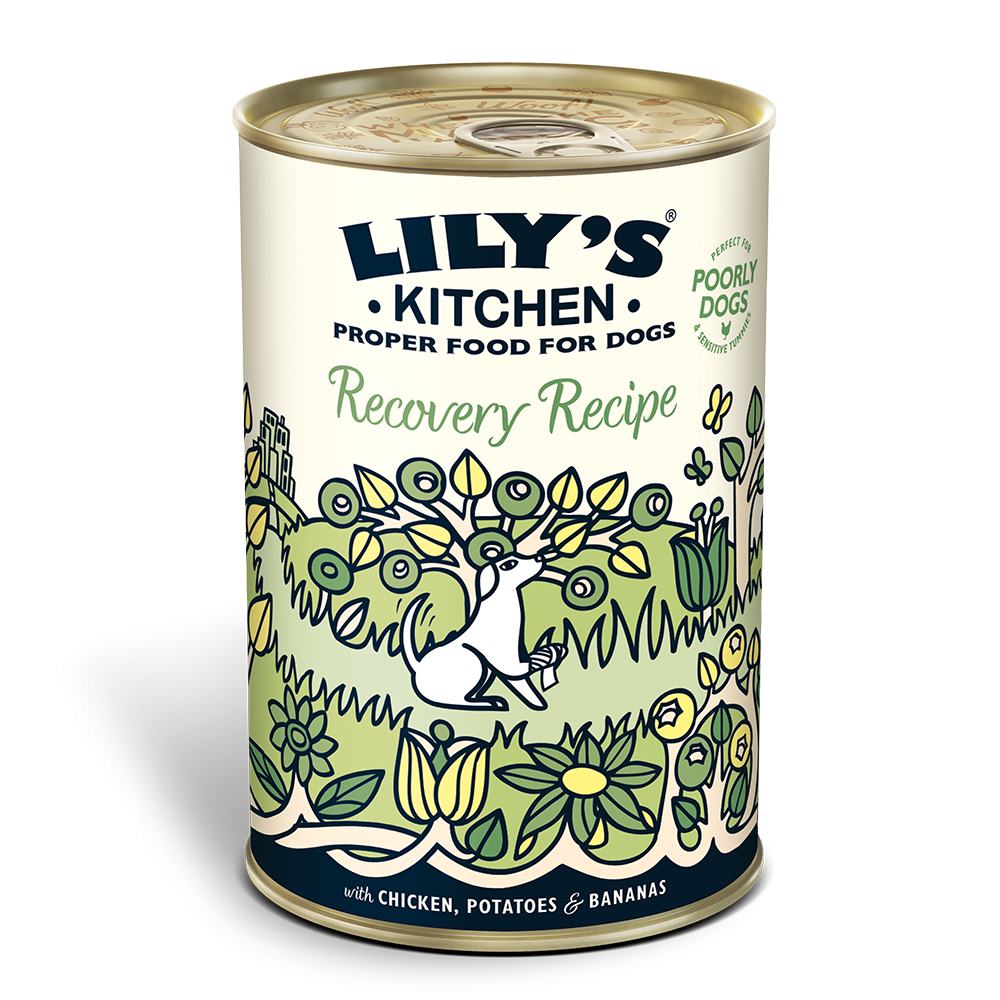Lily's Kitchen Recovery Recipe