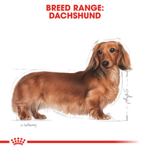 Load image into Gallery viewer, ROYAL CANIN® Dachshund Adult Dry Dog Food
