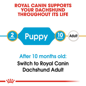 ROYAL CANIN Dachshund Puppy Dry Dog Food