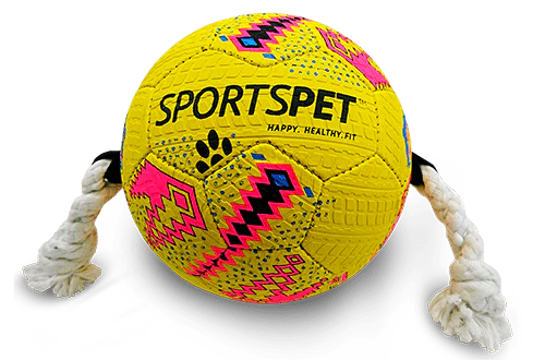 Sportspet Football Dog