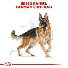 Load image into Gallery viewer, ROYAL CANIN® German Shepherd Adult Dry Dog Food